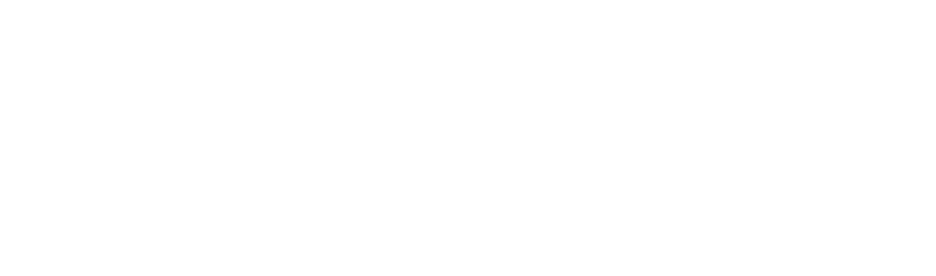 KT_Logo_white